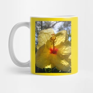 Basking Hibiscus Mug